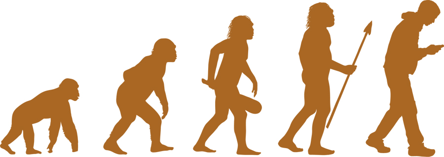 homo evolution geek 